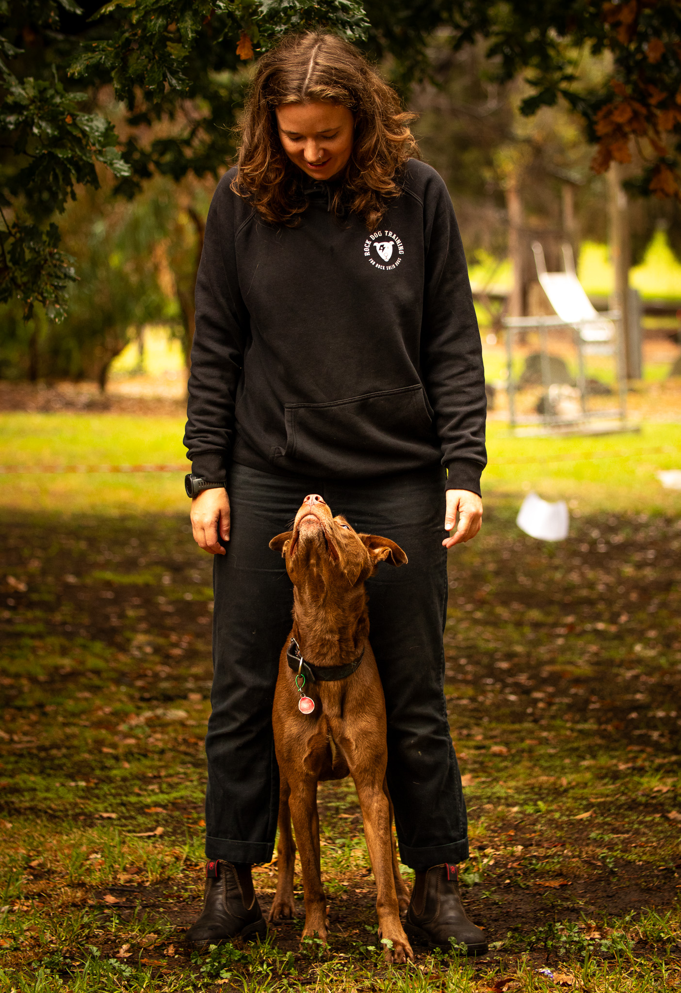 Dog Training near me in Melbourne