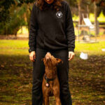 Puppy Training Melbourne - open-air learning environment