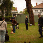 Certified dog trainer providing obedience training near me